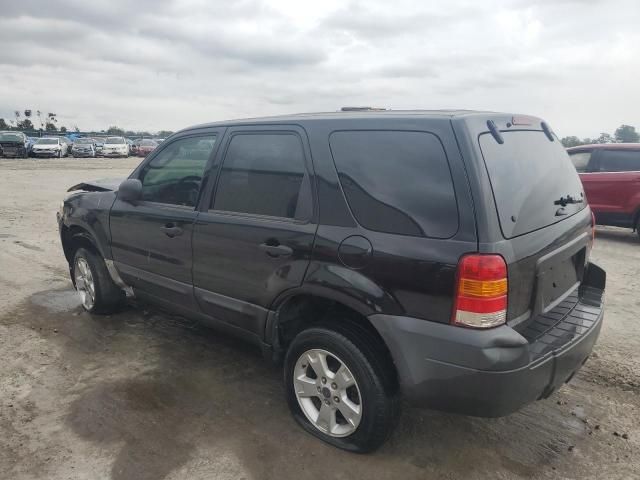 2005 Ford Escape XLT