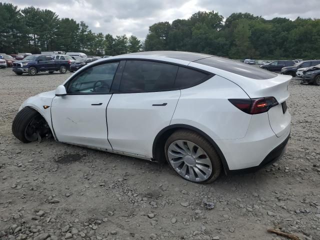 2020 Tesla Model Y