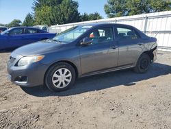 Toyota salvage cars for sale: 2010 Toyota Corolla Base