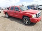 2006 Dodge Dakota Quad SLT