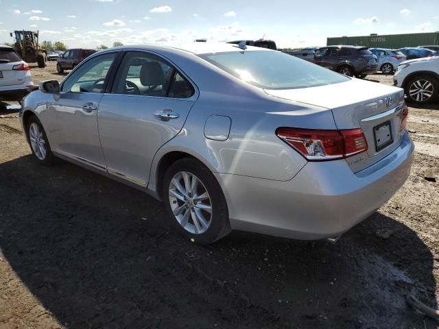 2010 Lexus ES 350