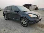 2007 Honda CR-V EXL