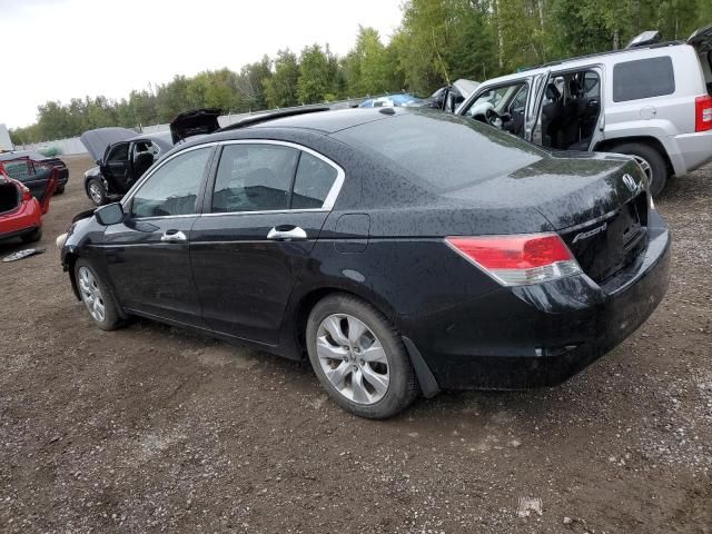 2010 Honda Accord EXL