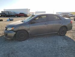 2011 Toyota Corolla Base en venta en Houston, TX