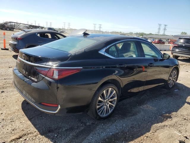 2021 Lexus ES 250 Base