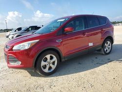 Salvage cars for sale at Arcadia, FL auction: 2015 Ford Escape SE