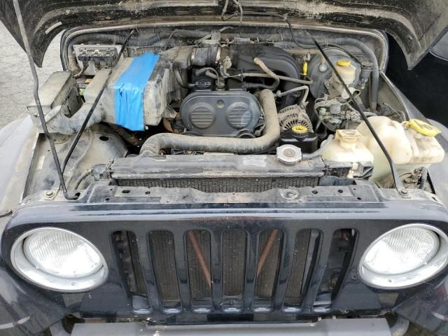 2004 Jeep Wrangler / TJ SE