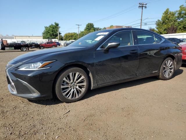 2020 Lexus ES 300H