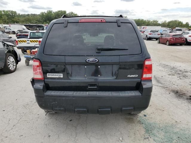 2008 Ford Escape XLT