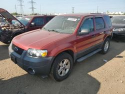 Carros salvage a la venta en subasta: 2007 Ford Escape XLT