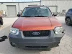 2006 Ford Escape XLT