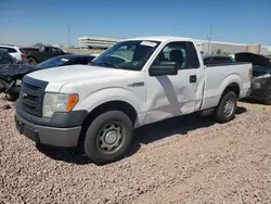 Salvage cars for sale at Phoenix, AZ auction: 2014 Ford F150