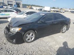 Salvage cars for sale at Earlington, KY auction: 2014 Toyota Camry L