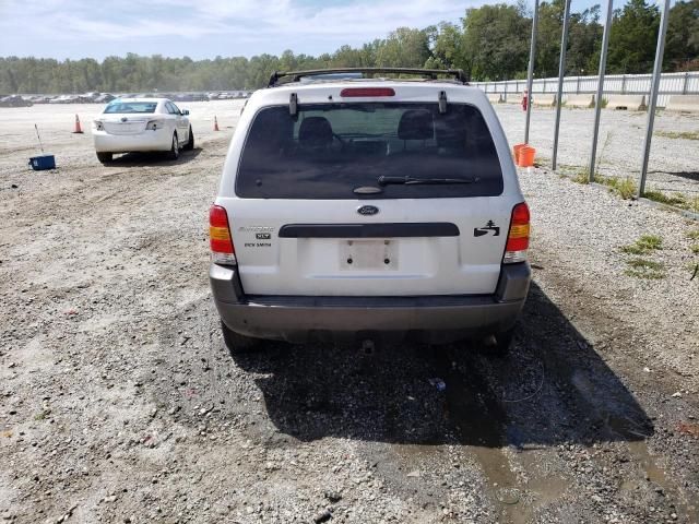 2004 Ford Escape XLT