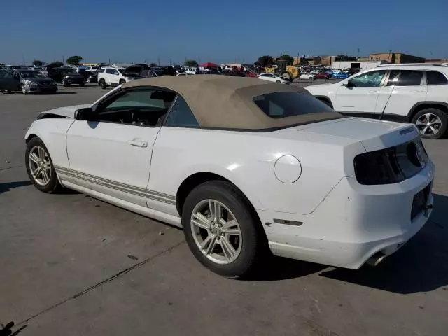 2014 Ford Mustang