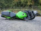 2024 Kawasaki EX650 P