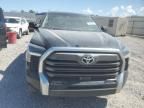 2023 Toyota Tundra Crewmax Limited