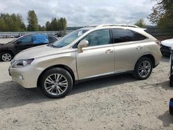 Salvage cars for sale at Arlington, WA auction: 2013 Lexus RX 350 Base