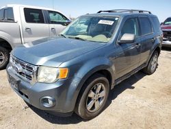 2010 Ford Escape XLT en venta en Tucson, AZ