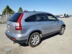 2007 Honda CR-V EXL