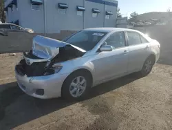 Salvage cars for sale at Albuquerque, NM auction: 2010 Toyota Camry SE