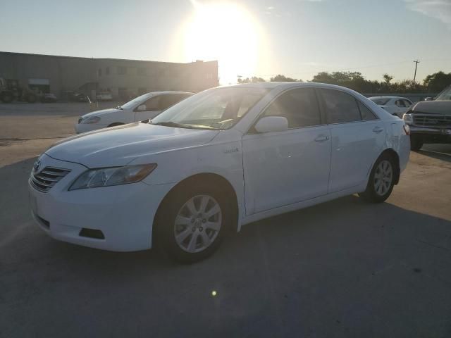 2009 Toyota Camry Hybrid