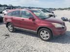 2010 Honda CR-V EXL