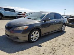 Salvage cars for sale at Antelope, CA auction: 2008 Toyota Camry CE