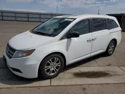 Salvage cars for sale at Fresno, CA auction: 2013 Honda Odyssey EXL