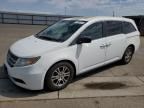 2013 Honda Odyssey EXL