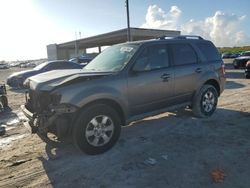 Ford Vehiculos salvage en venta: 2011 Ford Escape Limited