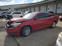 Salvage cars for sale at Louisville, KY auction: 2013 Chevrolet Malibu 1LT