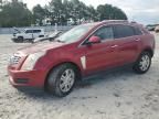 2013 Cadillac SRX Luxury Collection