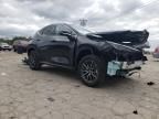 2024 Lexus NX 250 Base