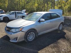 Toyota Vehiculos salvage en venta: 2013 Toyota Camry Hybrid