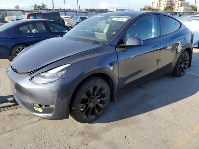 2020 Tesla Model Y