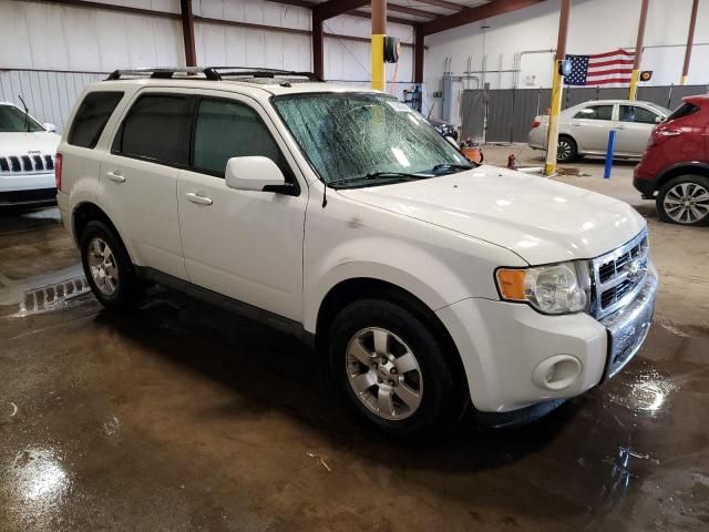 2011 Ford Escape Limited