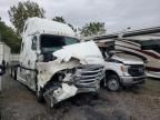 2024 Freightliner Cascadia 126