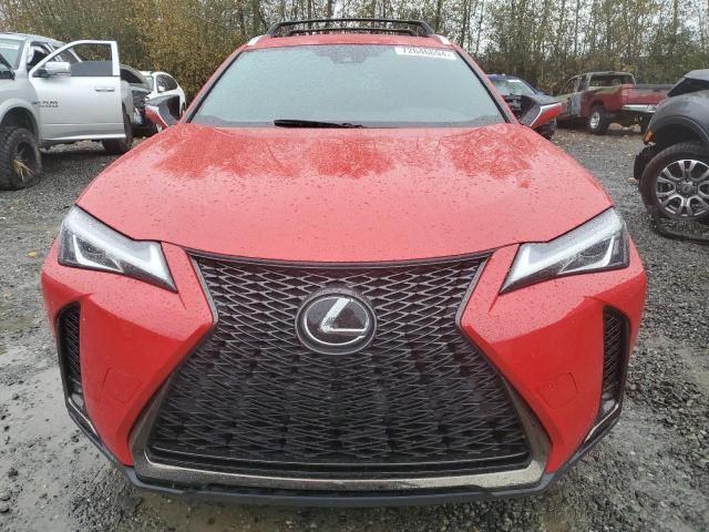 2019 Lexus UX 200