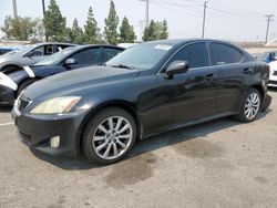 Lexus salvage cars for sale: 2007 Lexus IS 250