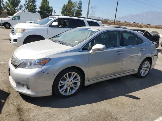 2010 Lexus HS 250H