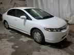 2008 Honda Civic Hybrid