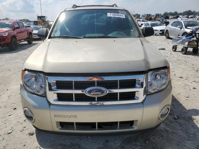 2010 Ford Escape XLT