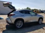 2025 Lexus NX 350H Base