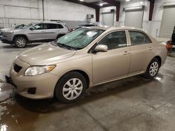 Salvage cars for sale at Avon, MN auction: 2009 Toyota Corolla Base