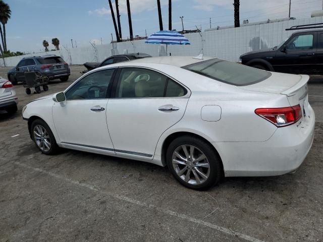 2010 Lexus ES 350