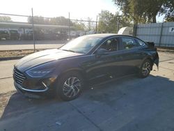 Salvage cars for sale at Sacramento, CA auction: 2023 Hyundai Sonata Hybrid