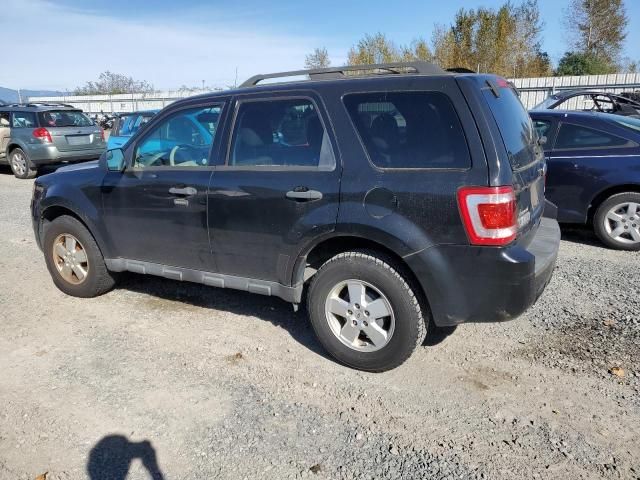 2011 Ford Escape XLT