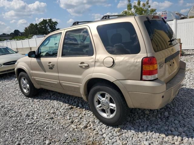 2007 Ford Escape Limited