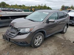 Honda salvage cars for sale: 2014 Honda CR-V EX